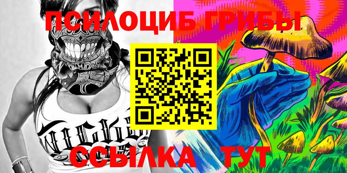 Псилоцибиновые грибы Cubensis  Вход с VPN  Обь 
