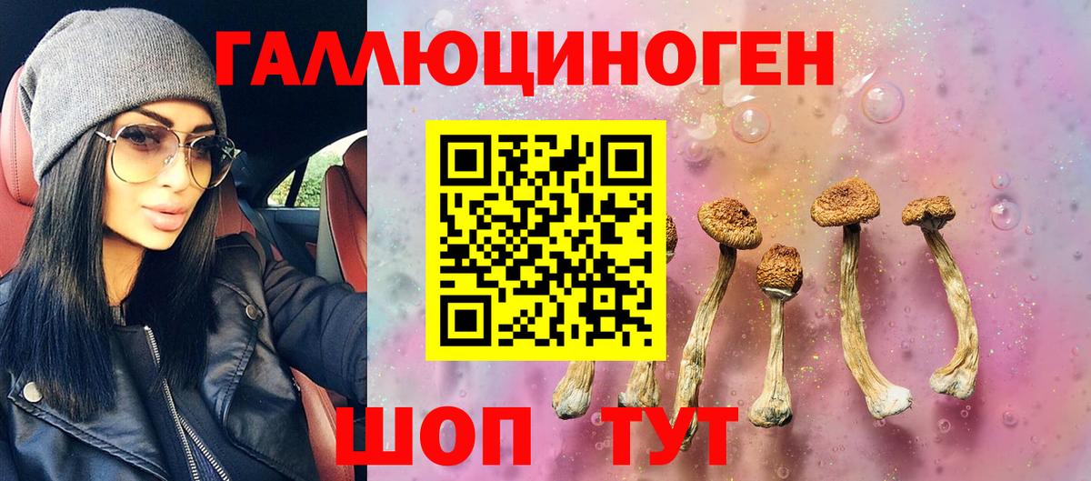 Псилоцибиновые грибы Magic Shrooms Обь